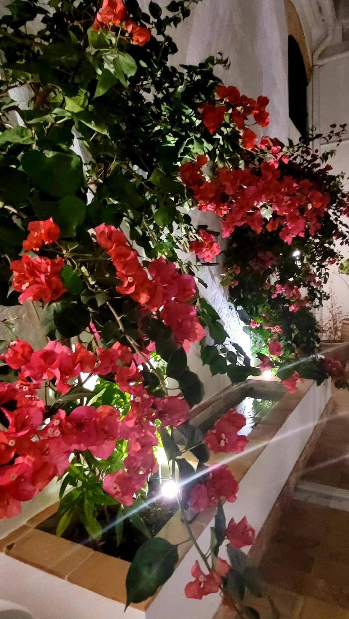 Albariza Hotel Boutique Sanlúcar de Barrameda Zewnętrze zdjęcie